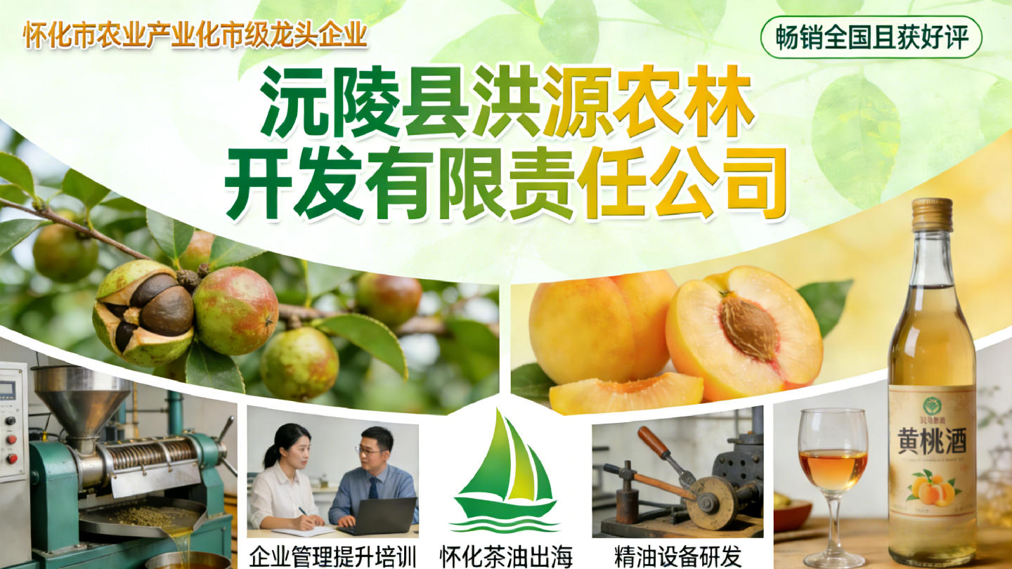 a.榨油设备研发与工艺改进；b.怀化茶油出海；c.企业管理提升培训