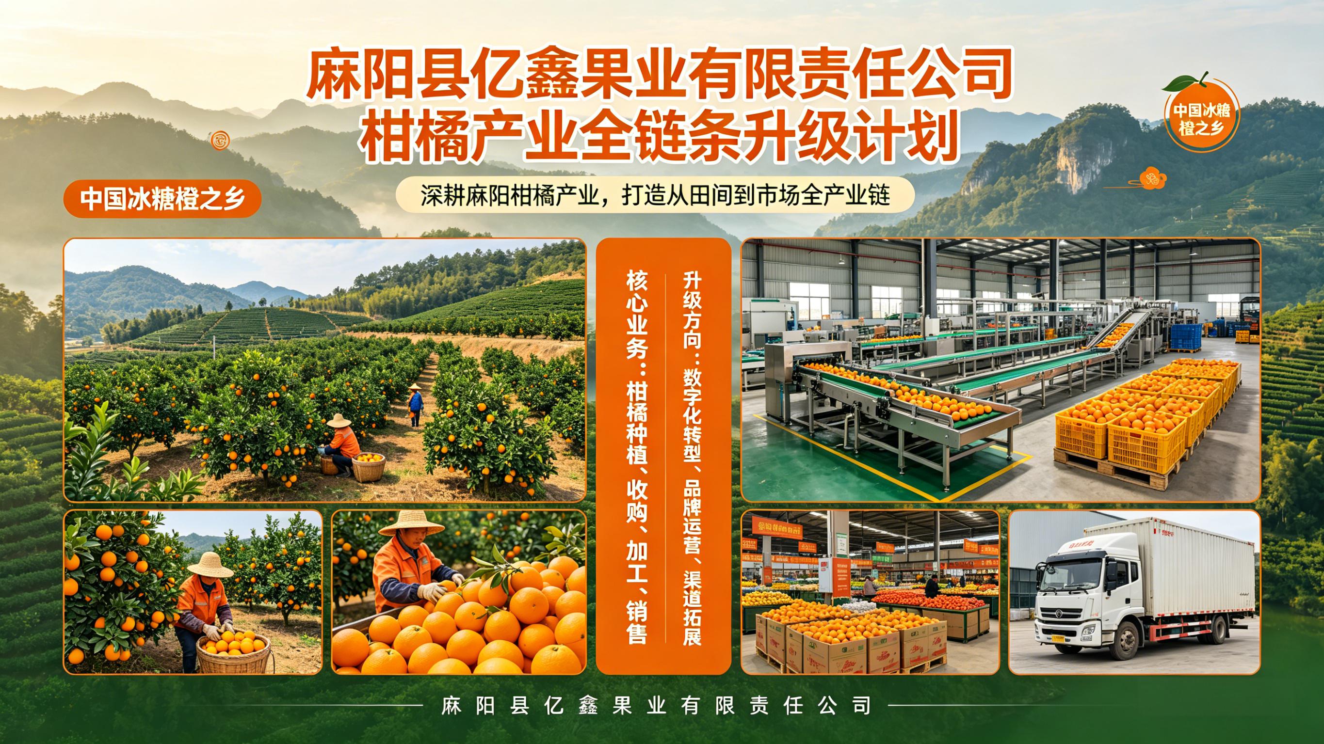 a.柑橘产业数字化转型建设项目;b.麻阳柑橘品牌运营升级项目